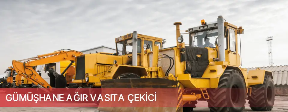 Gümüşhane İli Ağır Vasıta Çekici