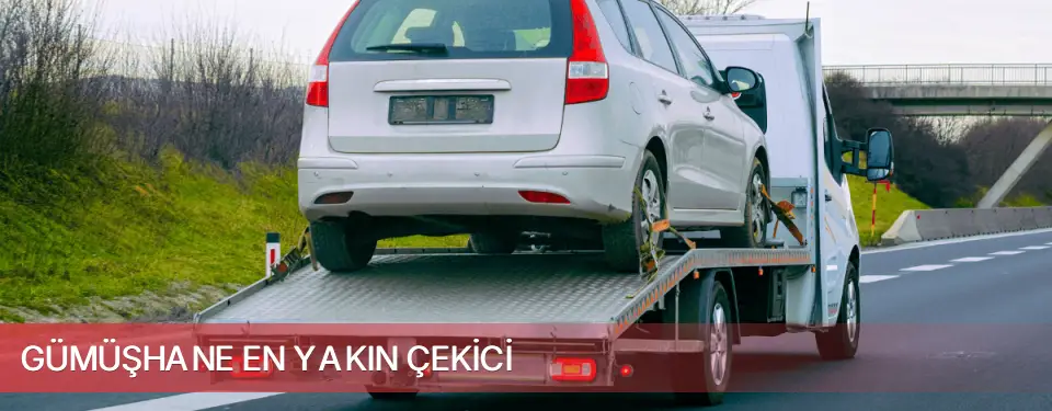 Gümüşhane İli En Yakın Çekici